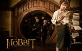 El Hobbit: Un viaje inesperado fondos de pantalla HD #11