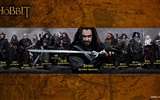 The Hobbit: An Unexpected Journey 霍比特人：意外旅程14