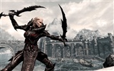 エルダースクロールV：Skyrim HD壁紙 #14