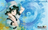 Steins Gate HD wallpapers #14