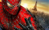 The Amazing Spider-Man 2012 tapety #13