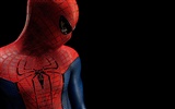 The Amazing Spider-Man 2012 tapety #14