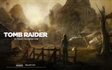 Tomb Raider 15-Jahr-Feier HD Wallpapers #3