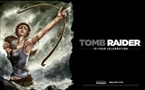 Tomb Raider 15-Jahr-Feier HD Wallpapers #5