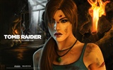 Tomb Raider 15-Jahr-Feier HD Wallpapers #7