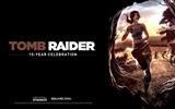 Tomb Raider 15-Jahr-Feier HD Wallpapers #8