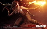 Tomb Raider 15-Jahr-Feier HD Wallpapers #11