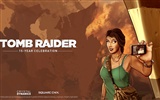 Tomb Raider 15-leté oslava HD wallpapers #15