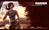 Tomb Raider 15-Jahr-Feier HD Wallpapers #16