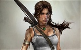 Tomb Raider 9 HD Wallpapers #10