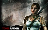 Tomb Raider 9 古墓丽影9 高清壁纸11