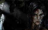 Tomb Raider 9 HD Wallpapers #12