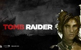 Tomb Raider 9 古墓丽影9 高清壁纸18