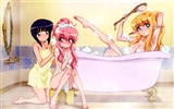 Zero no Tsukaima 零之使魔 高清壁紙 #21