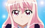 Zero no Tsukaima 零之使魔 高清壁紙 #25