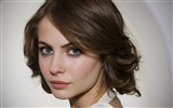 Willa Holland krásnou tapetu #6