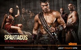 Spartacus : 복수의 HD 월페이퍼 #3