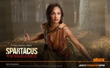 Spartacus: Vengeance 斯巴達克斯：復仇高清壁紙 #5