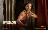 Spartacus: Vengeance 斯巴達克斯：復仇高清壁紙 #7