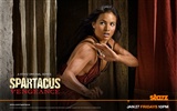 Spartacus : 복수의 HD 월페이퍼 #7