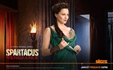 Spartacus: Vengeance 斯巴達克斯：復仇高清壁紙 #9