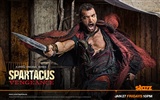Spartacus: Vengeance 斯巴達克斯：復仇高清壁紙 #12
