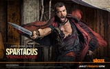 Spartacus: Vengeance 斯巴达克斯：复仇 高清壁纸12