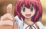 Toradora 龍與虎 高清壁紙 #31