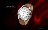 World famous watches wallpapers (2)