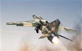 Military fighter HD widescreen wallpapers #9