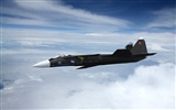 Military fighter HD-Breitbild-Wallpaper #10