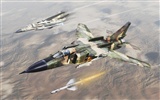 Military fighter HD widescreen wallpapers #15