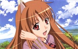 Spice and Wolf HD Wallpaper #16