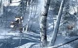 Assassin's Creed 3 刺客信条3 高清壁纸10