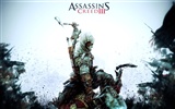 Assassin 's Creed 3 fonds d'écran HD #15