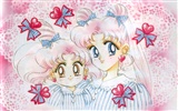 Sailor Moon 美少女戰士 高清壁紙 #5