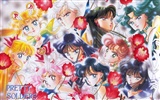 Sailor Moon 美少女戰士 高清壁紙 #8