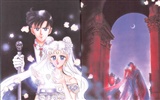 Sailor Moon 美少女戰士 高清壁紙 #9