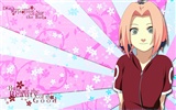 Naruto anime HD tapety na plochu #37