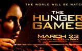 The Hunger Games 饥饿游戏 高清壁纸5