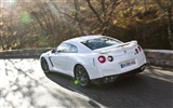 Nissan GT-R Egoist 2011 日產GT-R 利己主義高清壁紙 #13