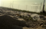 May 2012 Calendar wallpapers (2) #19