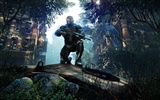 Crysis 3 fondos de pantalla de alta definición #3