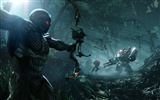 Crysis 3 孤島危機3 高清壁紙 #9