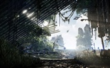 Crysis 3 fondos de pantalla de alta definición #13