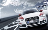 2012 Audi S5 奧迪S5 高清壁紙 #3