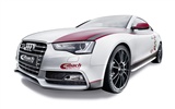 2012 Audi S5 HD wallpapers #8