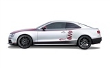 2012 Audi S5 奧迪S5 高清壁紙 #9