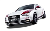 2012 Audi S5 奧迪S5 高清壁紙 #11