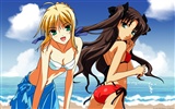 Fate stay night HD wallpapers #4